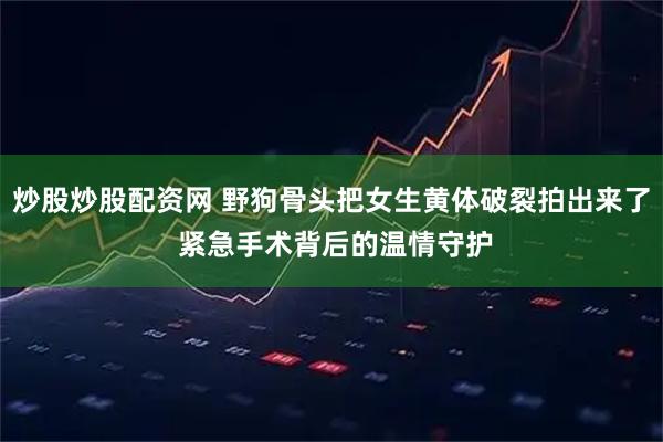 炒股炒股配资网 野狗骨头把女生黄体破裂拍出来了 紧急手术背后的温情守护